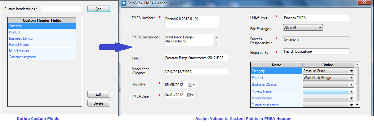 FMEA Executive - Custom Fields